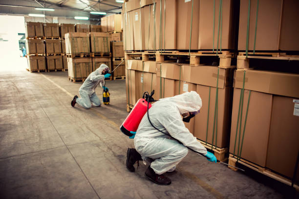 Best Pest Control Near Me  in South Brooksville, FL
