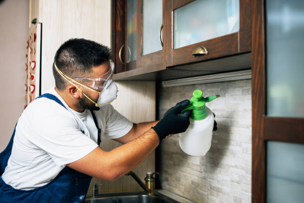 Best Bed Bug Extermination  in South Brooksville, FL