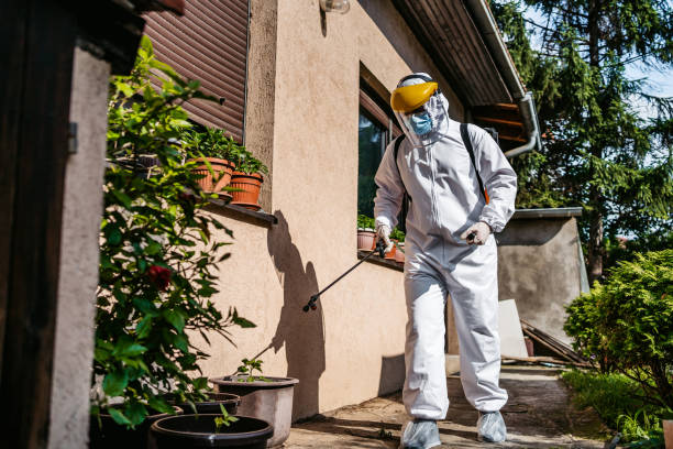 Best Wasp Removal Services  in South Brooksville, FL