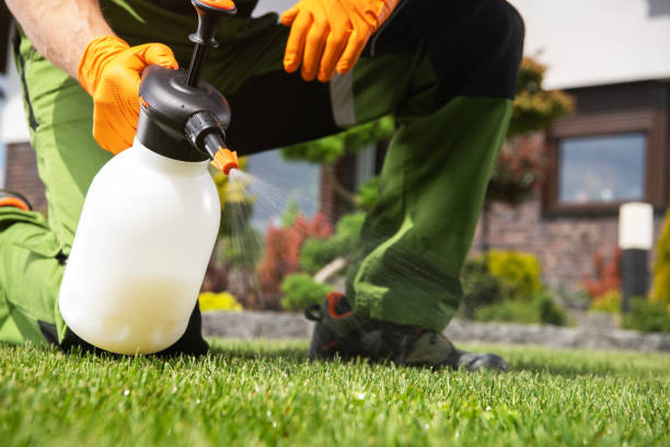 Best Pest Control Near Me  in South Brooksville, FL