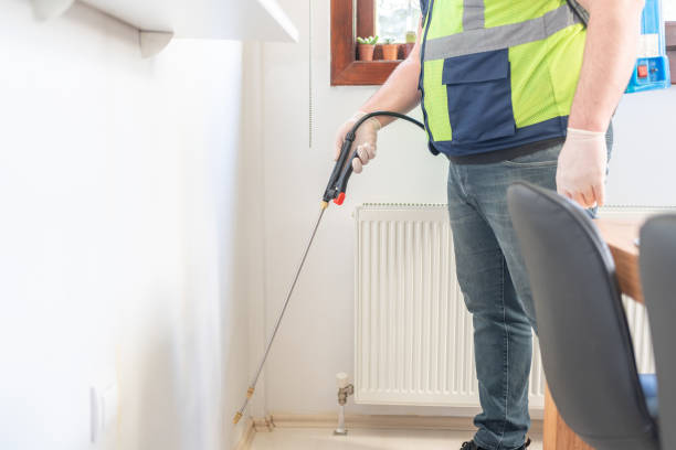 Best Pest Removal Services  in South Brooksville, FL