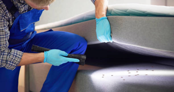 Best Emergency Pest Control  in South Brooksville, FL
