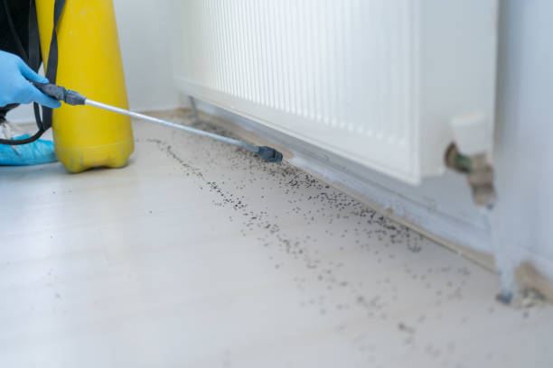 Best Residential Pest Control  in South Brooksville, FL