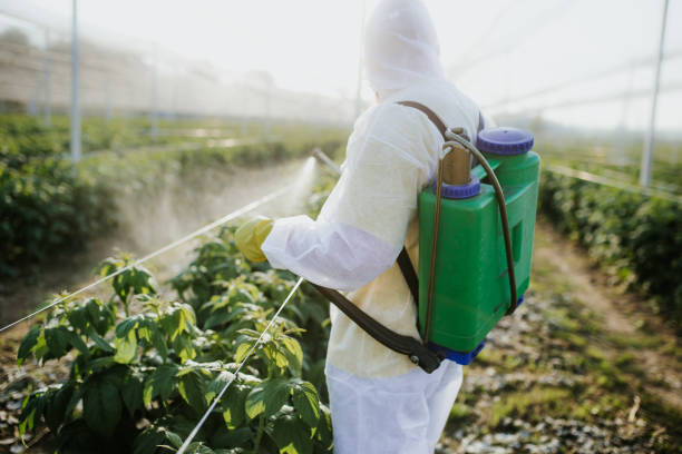 Best Best Pest Control Companies  in South Brooksville, FL